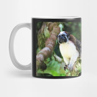 White Chested Monkey Perching in Tree Mug